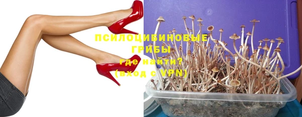 первитин Арсеньев