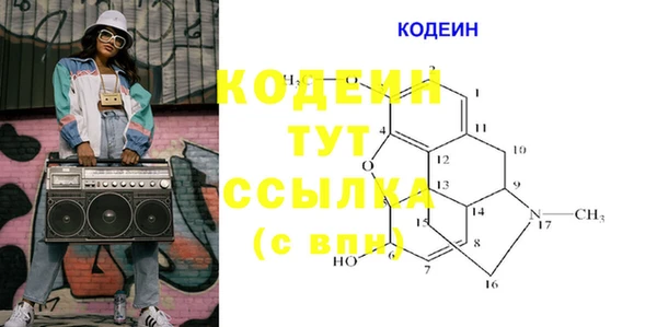 дмт Аркадак