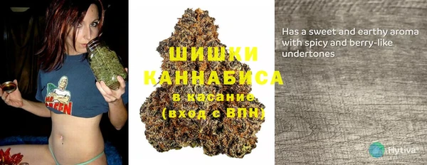 дмт Аркадак