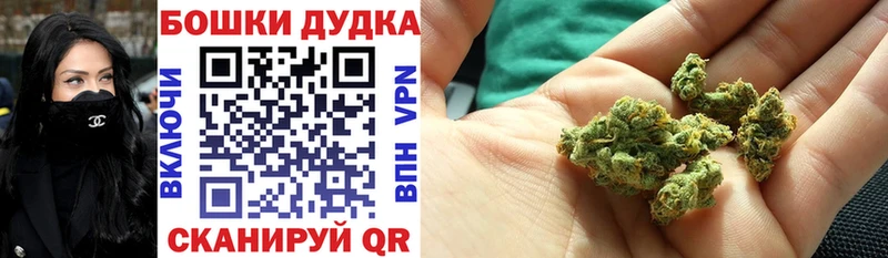 Бошки Шишки Amnesia  Верхнеуральск 
